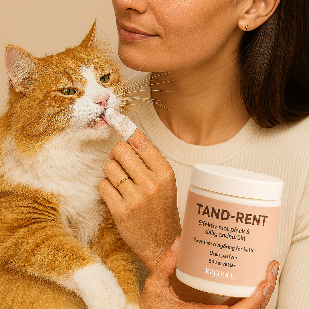 Tand-Rent